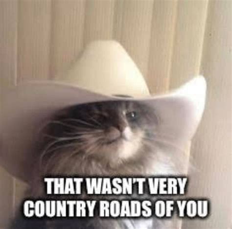 Cat Meme Says That Wasnt Very Country Roads Of You Cat Memes
