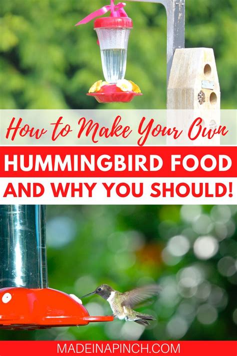 Best Easy Homemade Hummingbird Food Recipe 2 Ingredients Recipe Hummingbird Food