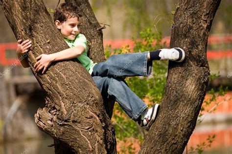 Boy Climbing In Trees Stock Photo By ©xalanx 2894567