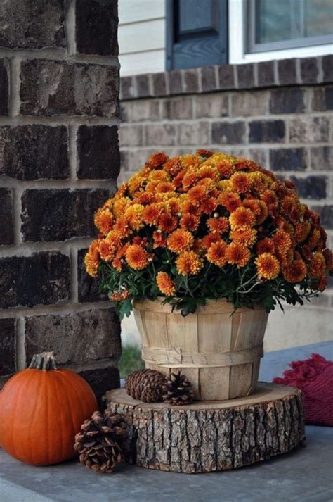 21 creative pumpkin decorating ideas for your front porch