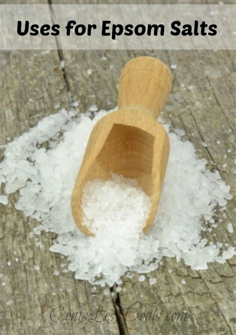 Household Uses For Epsom Salts Centsless Deals
