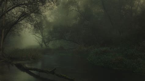 Landscape Nature River Forest Dark Sunrise Mist Shrubs Trees