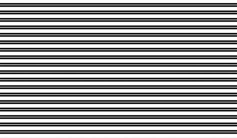 White With Thin Black Lines Free Stock Photo Public Domain Pictures