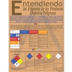 An older style hmis® label is shown below on the left. Safety Poster, HMIS Safety Awareness, English, 18" x 24"