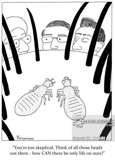 8 Best Head Lice Cartoons Images On Pinterest Cartoons School