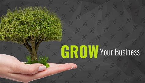 How To Grow My Business Some Tips For Growing Your Business