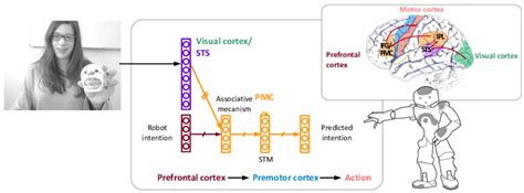 Cognitive Computational Model For Intention Recognition Download