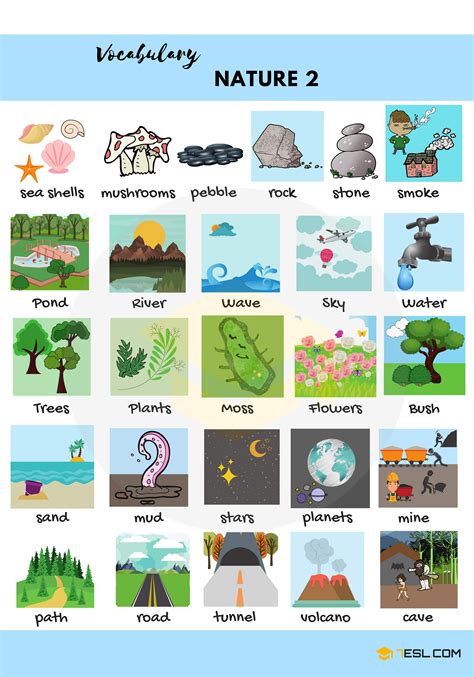 Nature Words Useful Nature Vocabulary In English • 7esl English