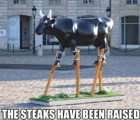 The Absolute Funniest Cow Puns Memes Top Fun Pictures