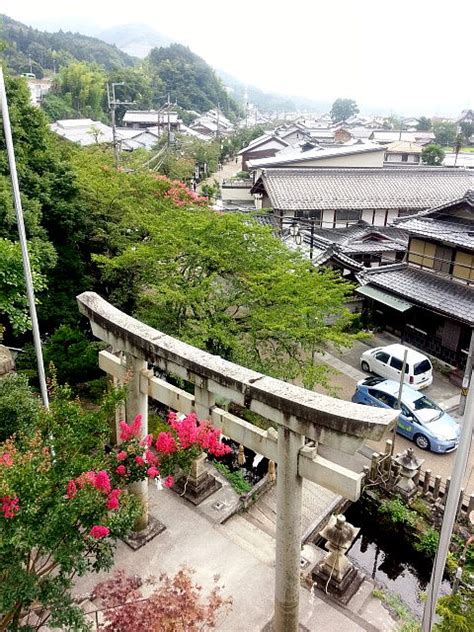 This information might be about you, your preferences or your. 滋賀県湖北エリアの名水めぐり:醒井湧水群と地蔵川