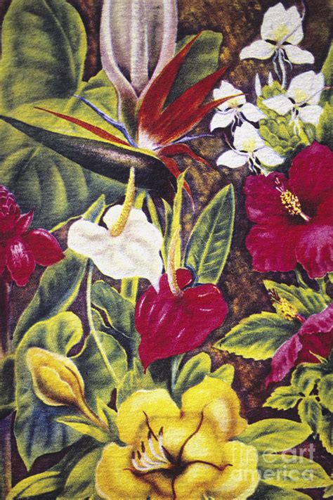 Vintage Tropical Flowers Painting By Hawaiian Legacy Archive