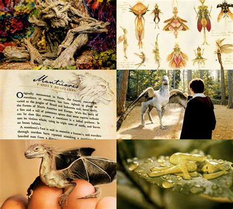 Its Happening Inside Your Head Hogwarts Harry Potter Magical Creatures