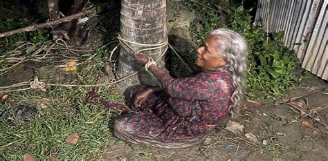 elderly woman beaten being tied to tree in natore countryside