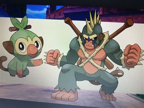 Download ポケモン剣盾 ゲーフリが サルノリ についてコメント Images For Free