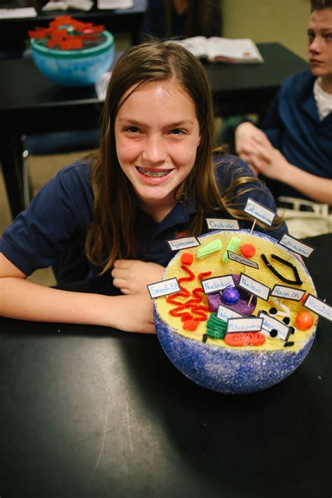 The cell is the basic unit of all living things. 7th Grade Cell Project | Brook Hill School | Tyler, TX