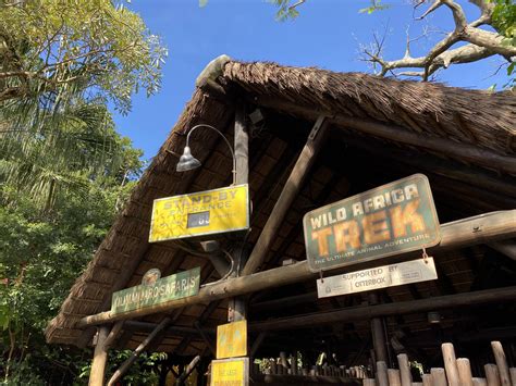 Wild Africa Trek At Disney World A Complete Guide Amber Likes