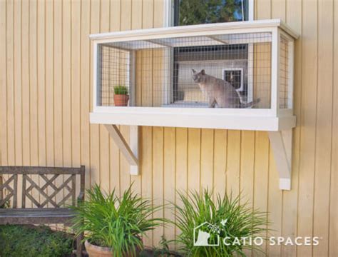 Screened cat porches the best ideas plus video tutorial. Is It Easy To Build A Window Box Enclosure for My Cat? - Catio Spaces