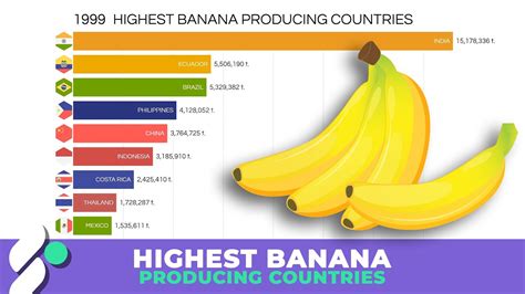 Highest Banana Producing Countries 1960 2020 Youtube