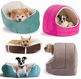Unbreakable Beds For Dogs Photos