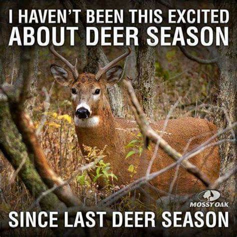 A Dixie Lady Deer Hunter Deer Season