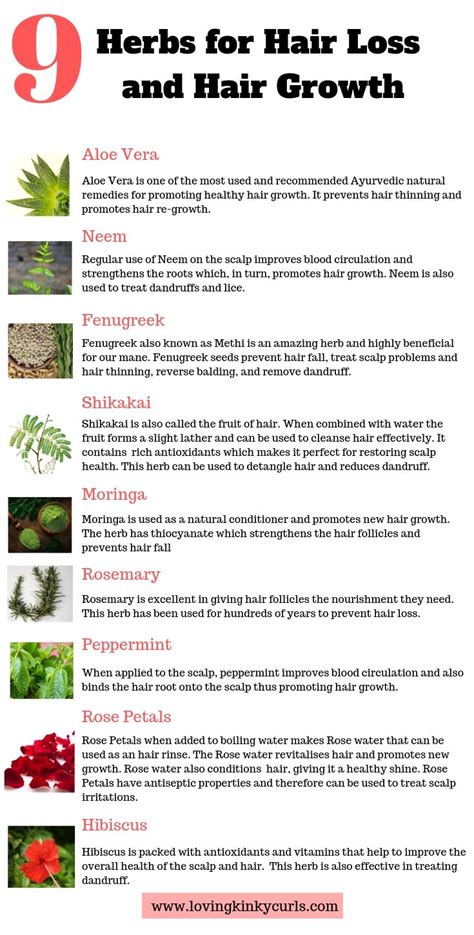 Natural Herbs For Hair Loss And Hair Growth Promote Healthy Hair