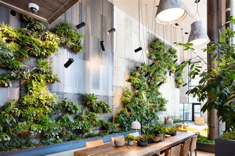 Looking for privacy fence ideas? Living Green Walls 101: Their Benefits and How They're ...