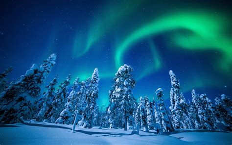 Fonds d ecran x Hiver Finlande Laponie région Aurore polaire Neige Nuit Arbres Nature