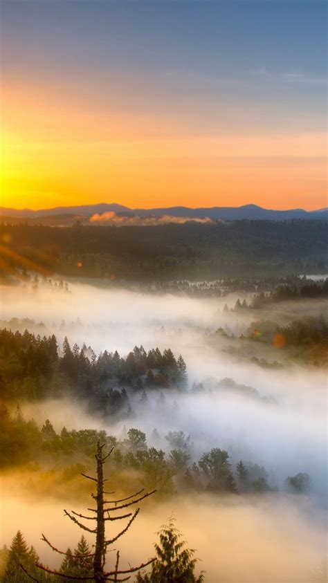 Wallpaper Morning Mist Mountain Sunrise 2560x1600 Hd Picture Image