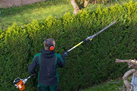 5 Best Pole Hedge Trimmers Of 2021 Long Reach Hedge Trimmer Reviews