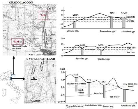 Figure 1 From Soil Hydromorphism In Two Saline And Brackish System