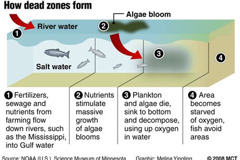 How Do Dead Zones In The Ocean Affects Ocean Life Socratic