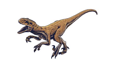 Jurassic World Dominion Atrociraptor Render Png By Junior3dsymas On