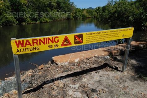 Crocodile Warning Sign Stock Image Science Source Images