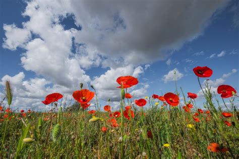 Free Images Landscape Nature Cloud Sky Meadow Prairie Red