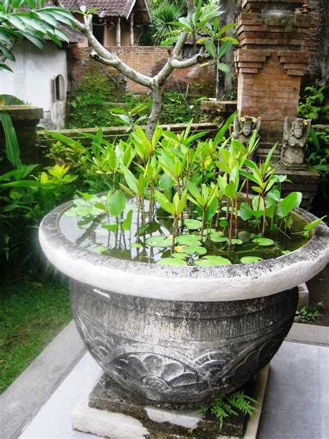 49 Top Photos Bali Backyard Designs Balinese Garden Design Houzz