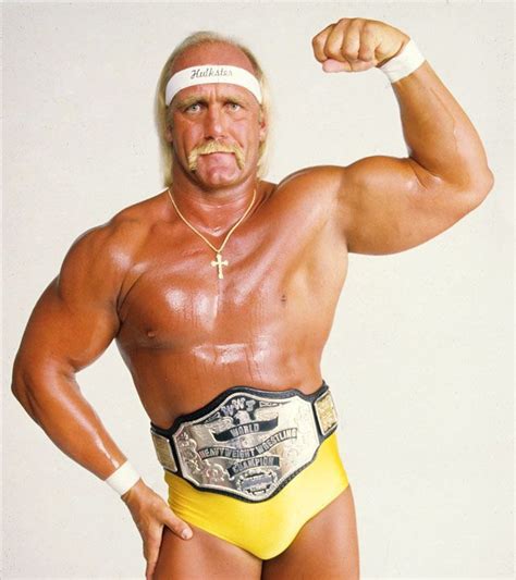 Episode Hulk Hogans Wwe Champions Wwe World Hulk Hogan