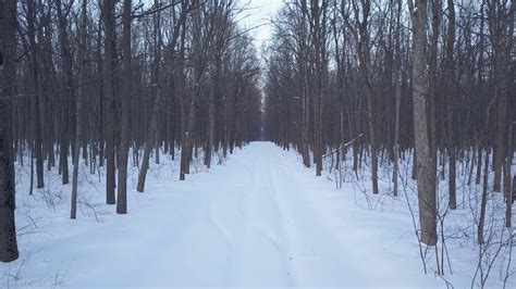 Normal intro | am | % | gsus4 g | c f | | am | % | gsus4 g | c f | | gm | verse 1 gsus4 g only tell me that you still want me here c f am when you wande. Aerial view on snow-covered road in the forest. Scenic ...