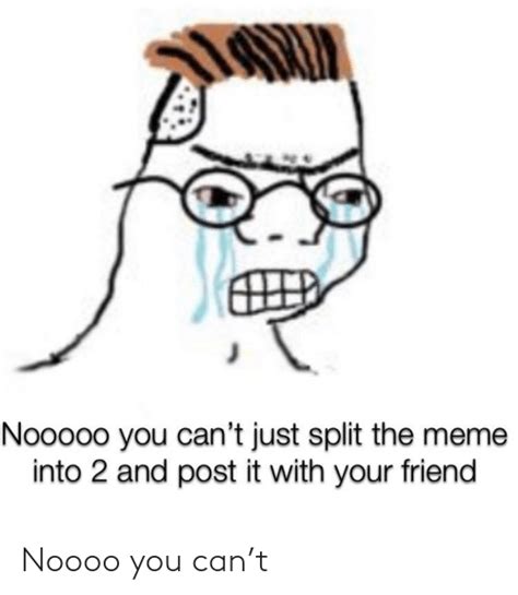 Noooo You Cant Reddit Meme On Meme