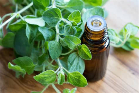 It's usually referred to as a kind of dizziness and is known to make people feel unbalanced. 6 Essential Oils For Treating Nasal Polyps - Nasal Polyps ...