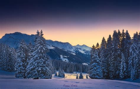 Wallpaper Winter Forest Snow Mountains Morning Alps Images For