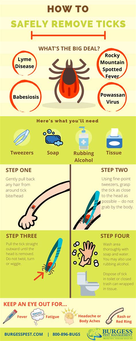 How To Properly Remove A Tick
