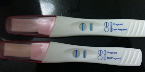 What You Should Know About How Pregnancy Tests Work Reviewthis
