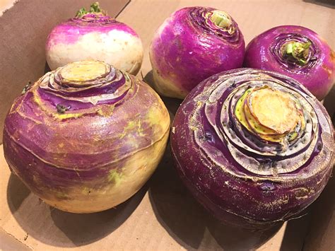 Club Foody | Turnip vs Rutabaga • Which is Which - Tips 