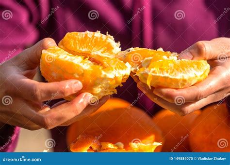 Woman Peels Oranges From Peel Stock Photo Image Of Food Fruit 149584070