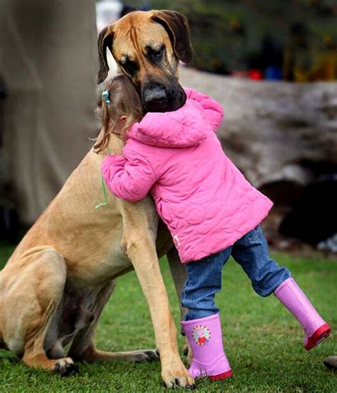 Big Dogs Give Big Hugs