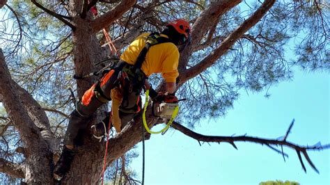 Bombers I Adf Enfrontats Per La Campanya Dincendis Forestals Daquest Estiu Onda Cero Radio