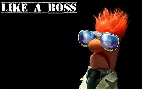 Beaker Muppets Wallpaper ·① Wallpapertag