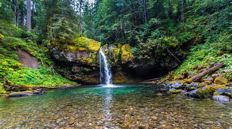 Ford Pinchot National Forest Washington Expedianl