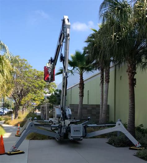 Джудит макконнелл, лэйн дейвис, терри лестер и др. Mark Crane's Tree Inc - Santa Barbara Tree and Arborist ...