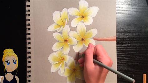 Drawing Flowers In Colored Pencil